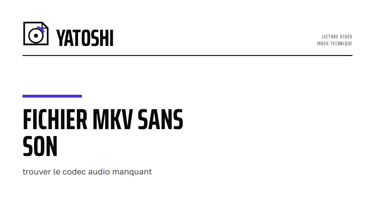 Fichier MKV sans son : trouver le codec audio manquant